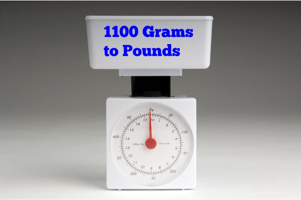 1100 Grams to Pounds