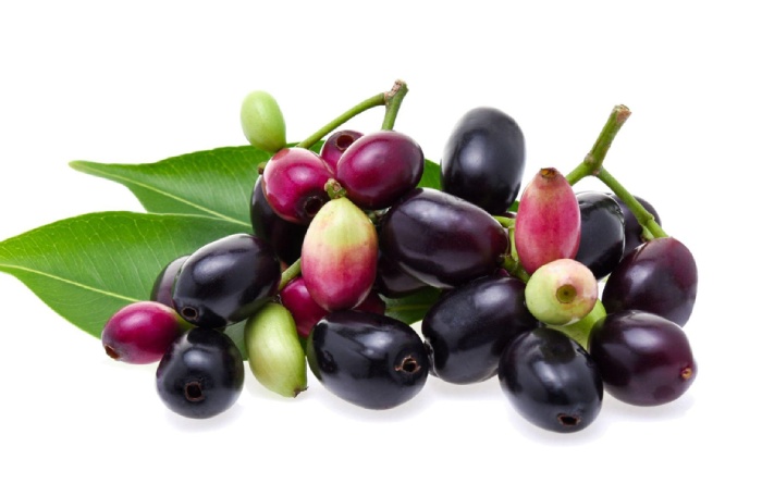 Jamun - wellhealthorganic.com:weight-loss-in-monsoon-these-5-monsoon-fruits-can-help-you-lose-weight